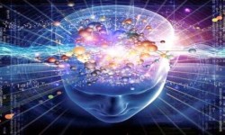 Meditação e Física Quântica